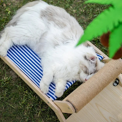 Coco Climb