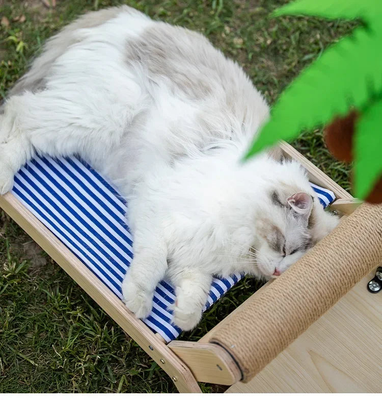 Coco Climb