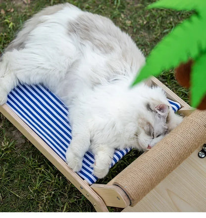 Coco Climb