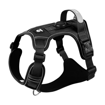 Arnés TrackGuard